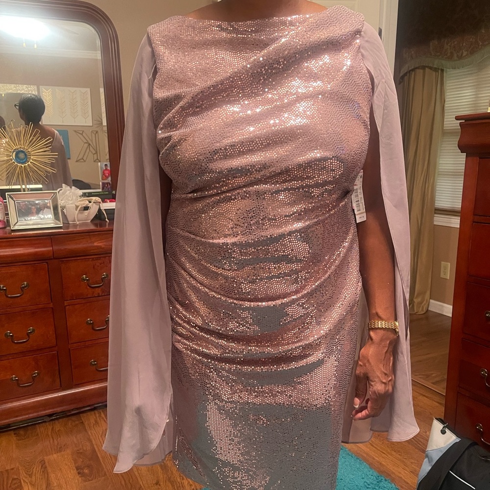 R&M Richards Mocha Chiffon/Glitter Cape Dress